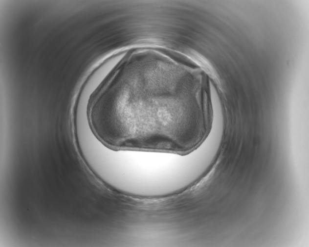 X0000088751192200706212109