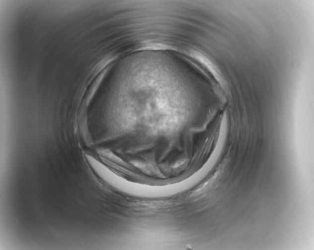 X0000088751193200706212109