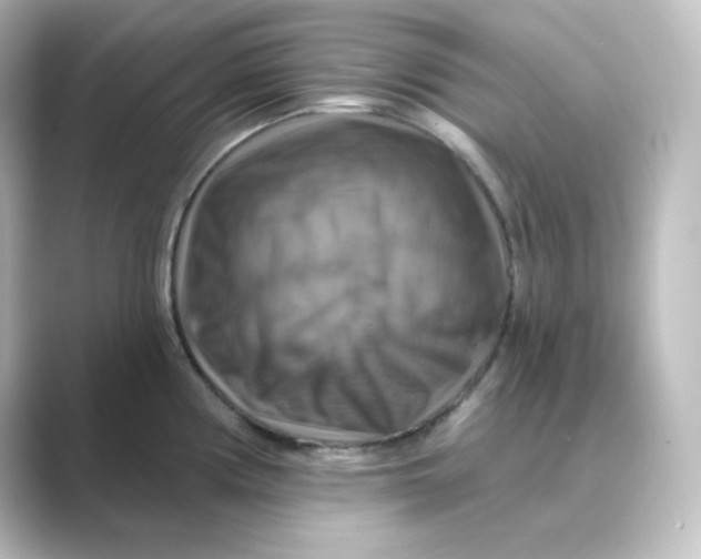 X0000088751194200706212109