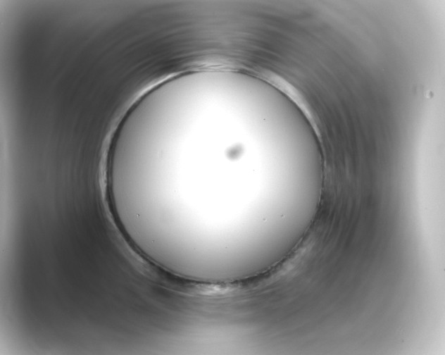 X0000088751195200706212109