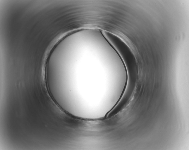 X0000088751196200706212109