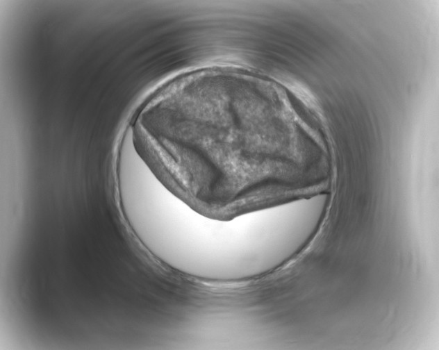 X0000088751200200706212109