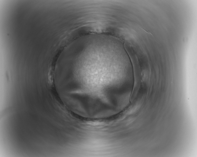 X0000088751202200706212108