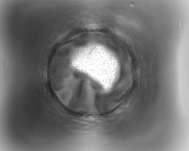 X0000088751205200706212108