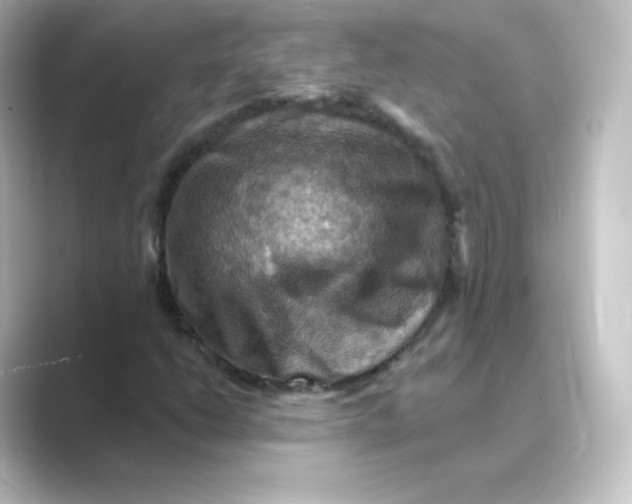 X0000088751206200706212108