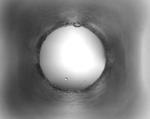 X0000088751207200706212108