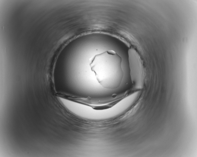 X0000088751210200706212108