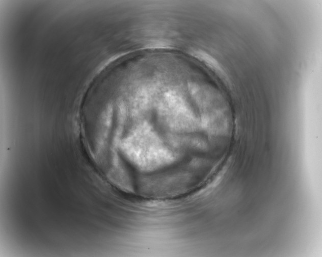 X0000088751212200706212108