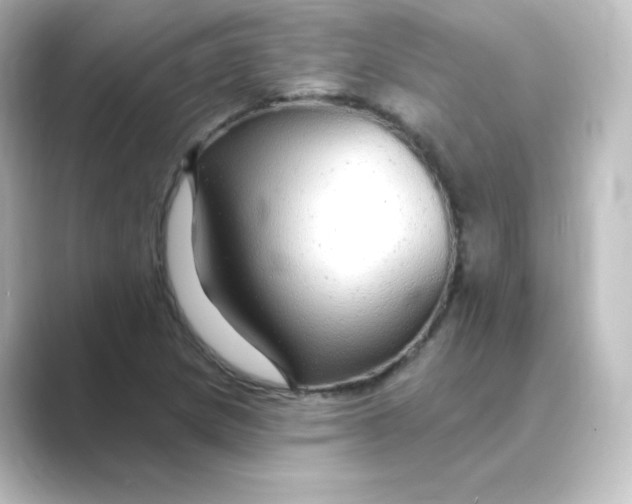 X0000088751217200706212109