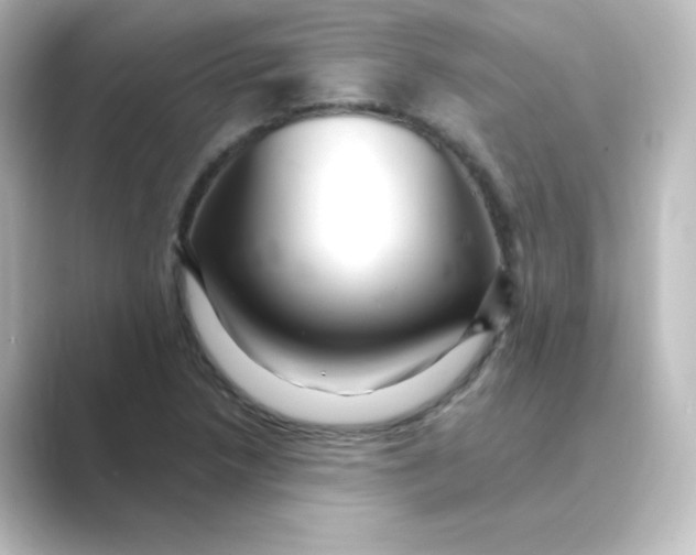 X0000088751218200706212109