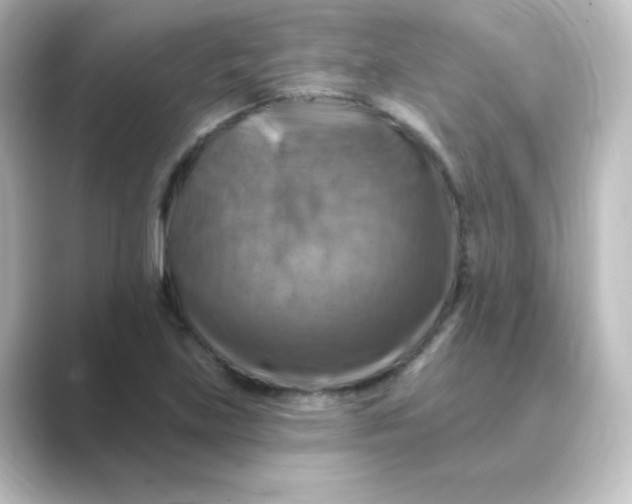 X0000088751219200706212109