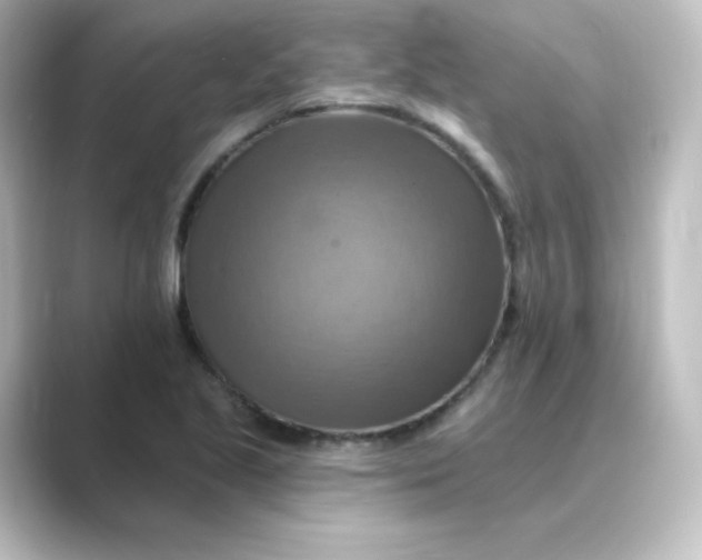 X0000088751221200706212109