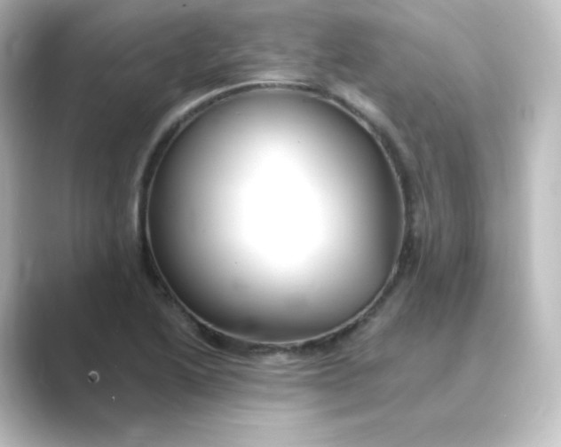 X0000088751222200706212109