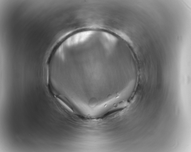 X0000088751223200706212109