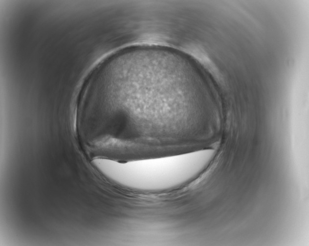 X0000088751224200706212109