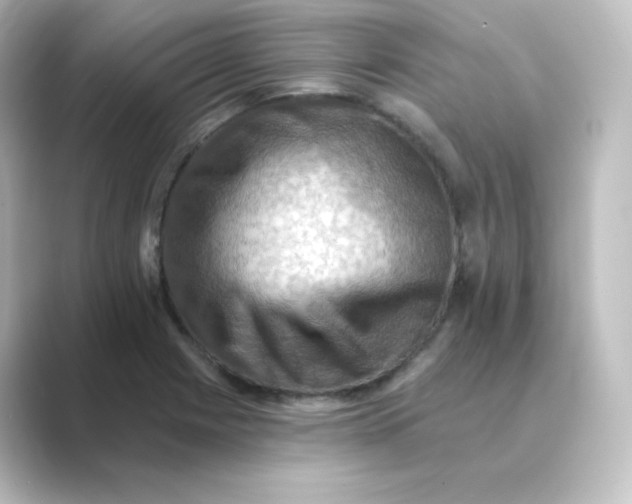 X0000088751225200706212109