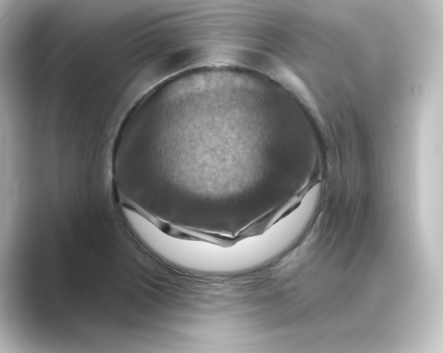 X0000088751226200706212109