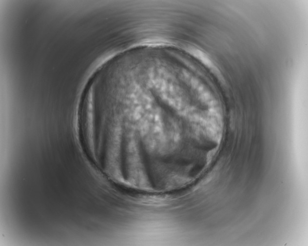 X0000088751229200706212109