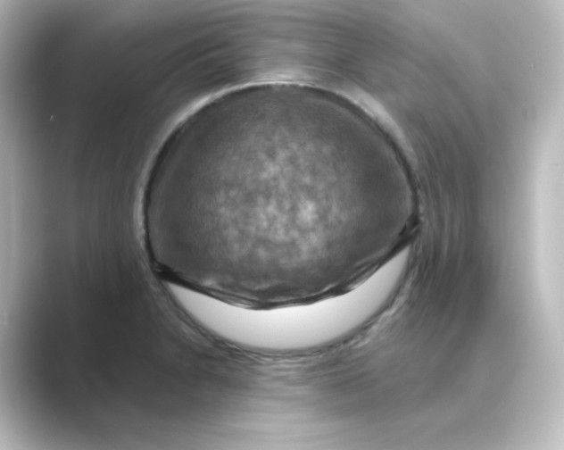 X0000088751230200706212109