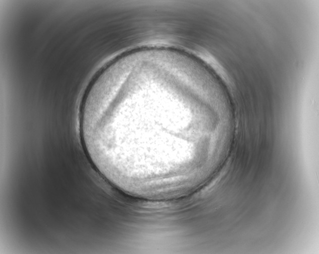 X0000088751232200706212109