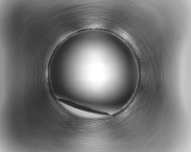 X0000088751234200706212109