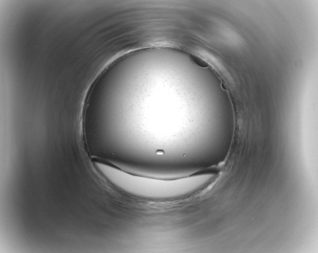 X0000088751236200706212109