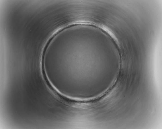 X0000088751237200706212109