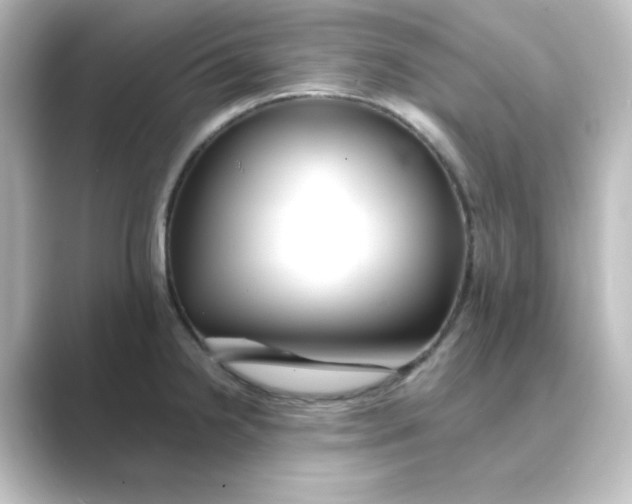 X0000088751238200706212109