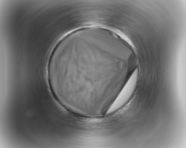 X0000088751239200706212109