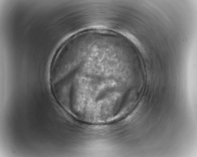 X0000088751240200706212109