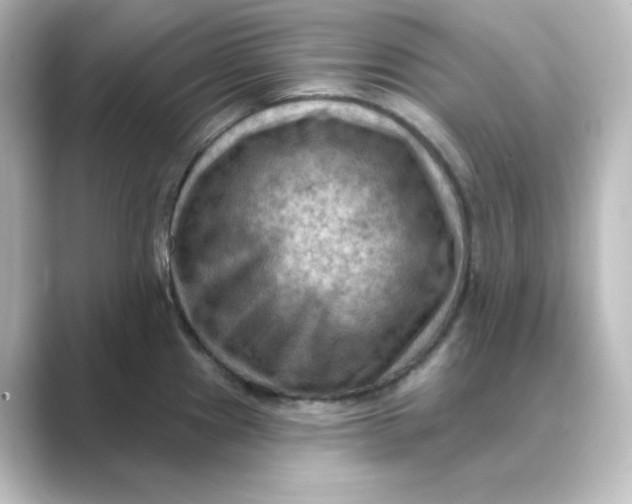 X0000088751241200706212109