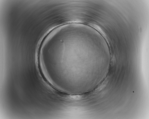 X0000088751243200706212109