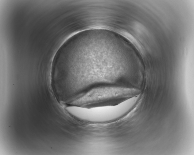 X0000088751244200706212109