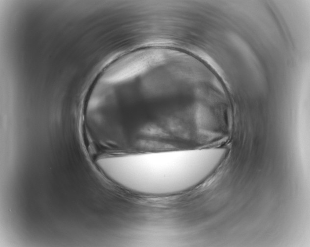 X0000088751245200706212109