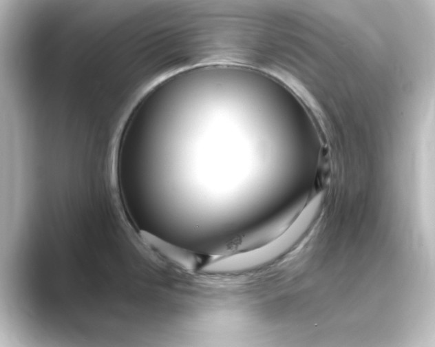 X0000088751246200706212109