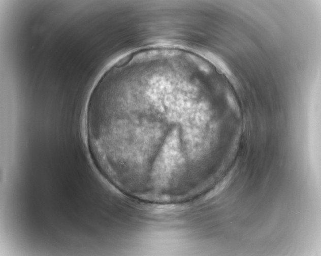 X0000088751247200706212109