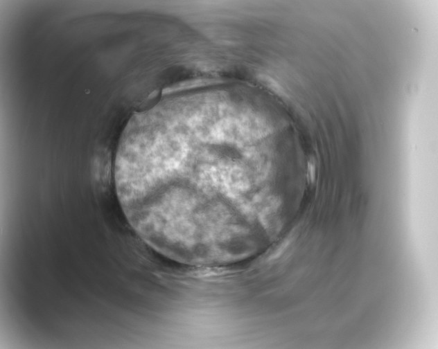 X0000088751251200706212108