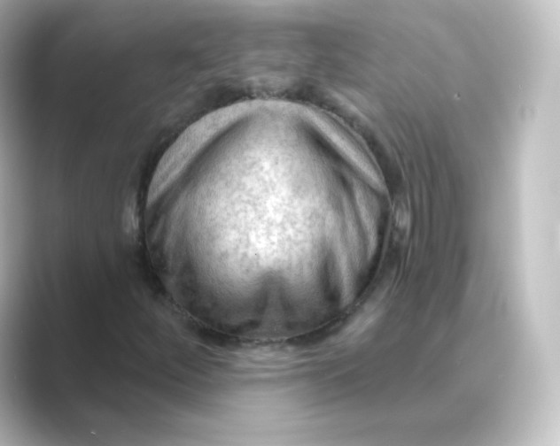 X0000088751252200706212108