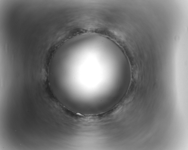 X0000088751253200706212108