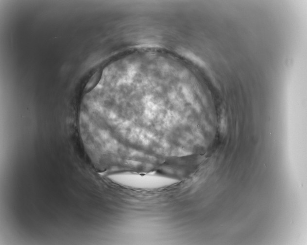 X0000088751255200706212108