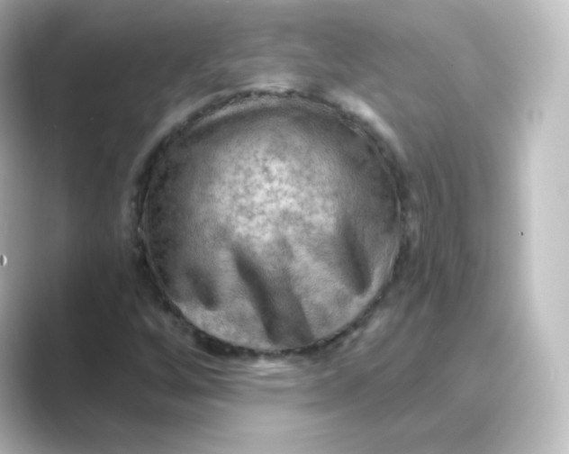 X0000088751256200706212108