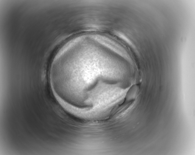 X0000088751259200706212108