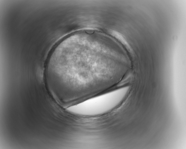 X0000088751260200706212108