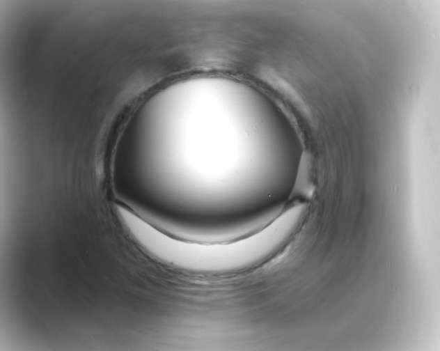 X0000088751261200706212108