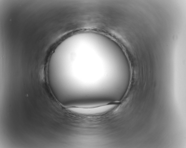 X0000088751262200706212108