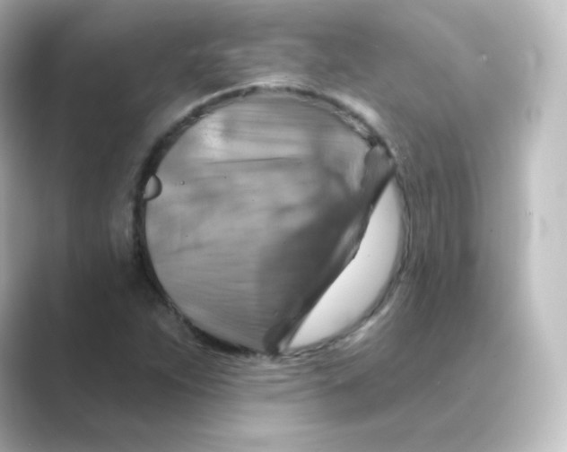 X0000088751263200706212108