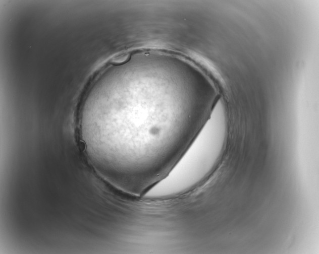 X0000088751264200706212108