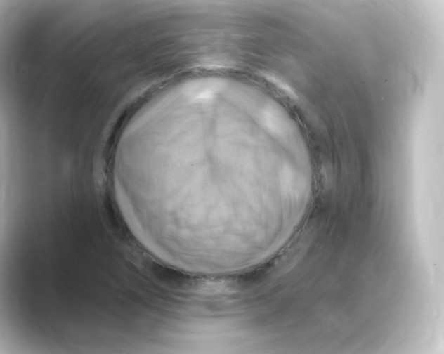 X0000088751266200706212108