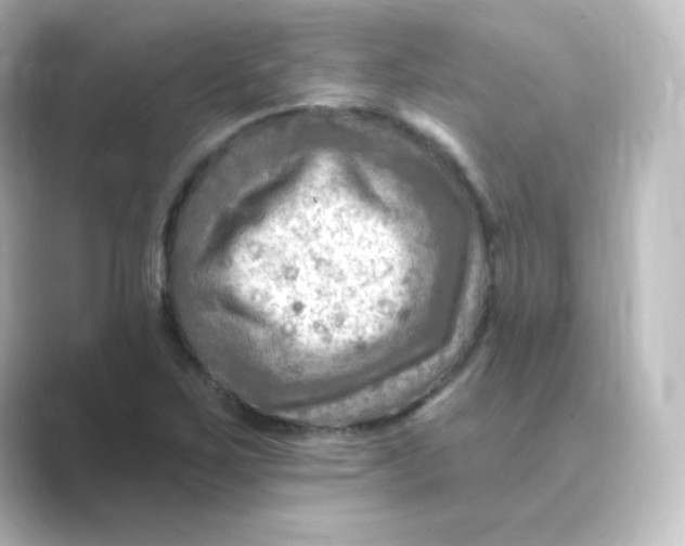 X0000088751267200706212108