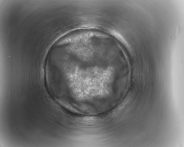 X0000088751268200706212108